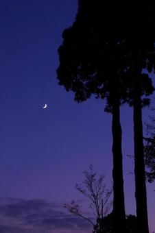 Twilight Sky, JPG