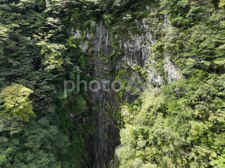 愛媛県西条市　大樽の滝 大樽の滝,七色の滝,滝の写真素材