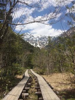 上高地(遊歩道) 上高地(遊歩道)の写真