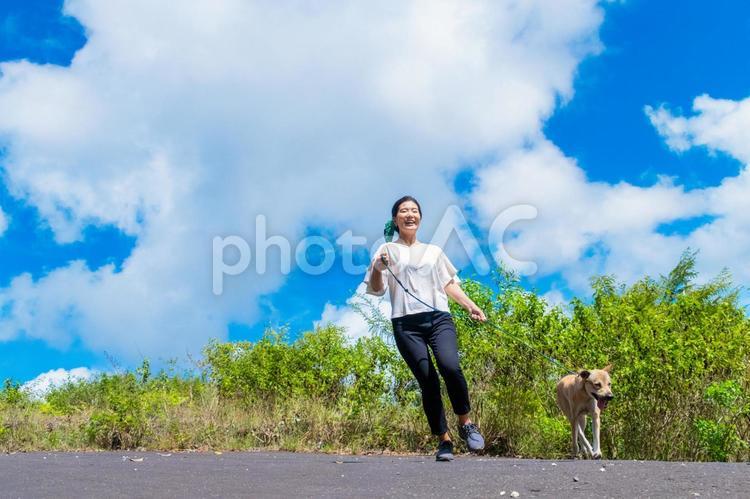 晴れた日の犬の散歩 犬,散歩,女性の写真素材