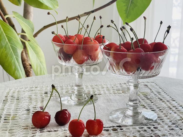 甘酸っぱい初夏の季節｜サクランボの実る頃 さくらんぼ,果実,フルーツの写真素材