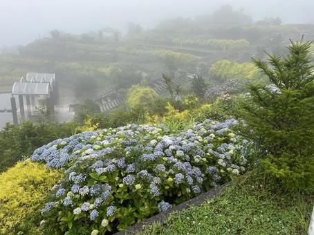 Photo, kochi prefecture, ootake-cho, play with the wind, 