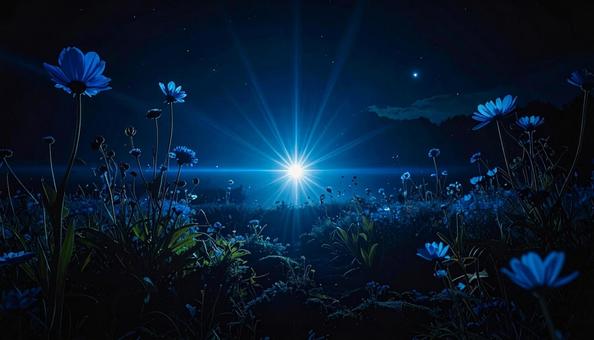 夜空に輝く青い花畑と光のフレア 夜空に輝く青い花畑と光のフレアの写真