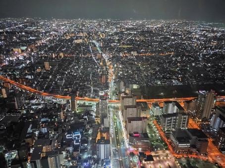 あべのハルカスからの夜景 あべのハルカスからの夜景の写真