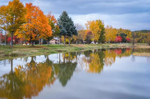 紅葉リフレクション 紅葉リフレクション 北海道,紅葉,リフレクションの写真素材