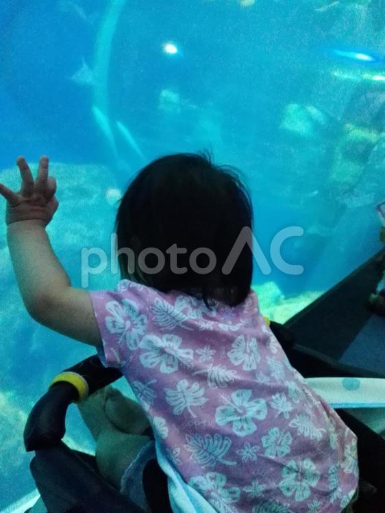 水族館と子供 赤ちゃん,子供,水族館の写真素材