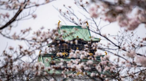 大阪城12 大阪城12の写真