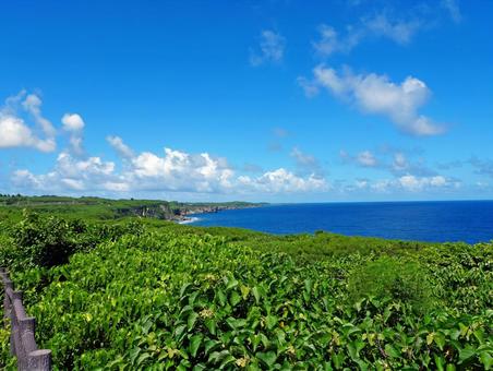 宮古島の海 宮古島の海 宮古島,海,ビーチの写真素材