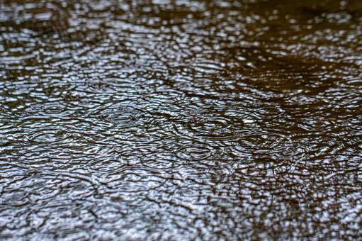 雨の日の水の波紋 雨の日の水の波紋の写真