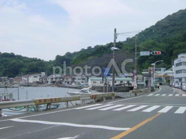 静岡　伊豆半島の風景　2006年　2 静岡,伊豆半島,西伊豆の写真素材