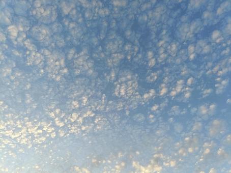Cute pokopoko scale cloud, JPG