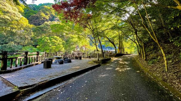 雄淵雌淵公園の奇石渓谷美 雄淵雌淵公園の奇石渓谷美の写真
