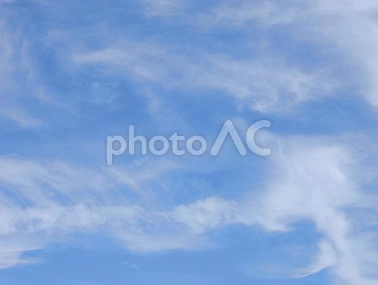 【空の写真】夏空 夏空,空,雲の写真素材