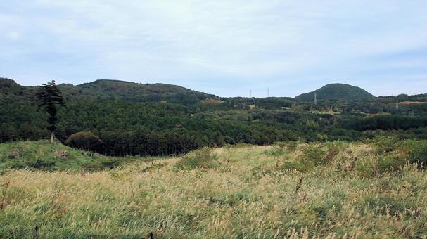 稲取細野高原のすすき原　1 稲取細野高原,ススキ,秋の写真素材