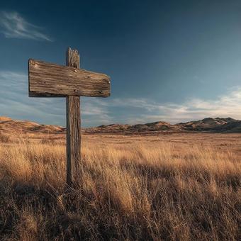 静寂な自然の中の道しるべ 静寂な自然の中の道しるべの写真