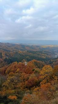 魚沼スカイラインの紅葉 紅葉,山,樹の写真素材
