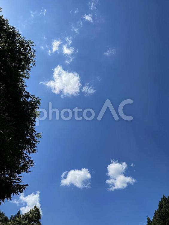 空を見上げて 空,雲,自然の写真素材