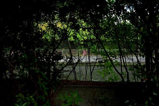 木々の間から浮かぶ河と手すり 緑,木々,河の写真素材