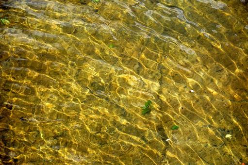 水面に映る陽光の波紋 水面に映る陽光の波紋の写真
