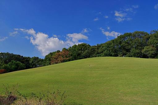 秋晴れの下の芝生広場 秋晴れの下の芝生広場 秋晴れ,秋空,青空の写真素材