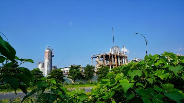 工場見学 工場見学 工場,工場見学,工場風景の写真素材