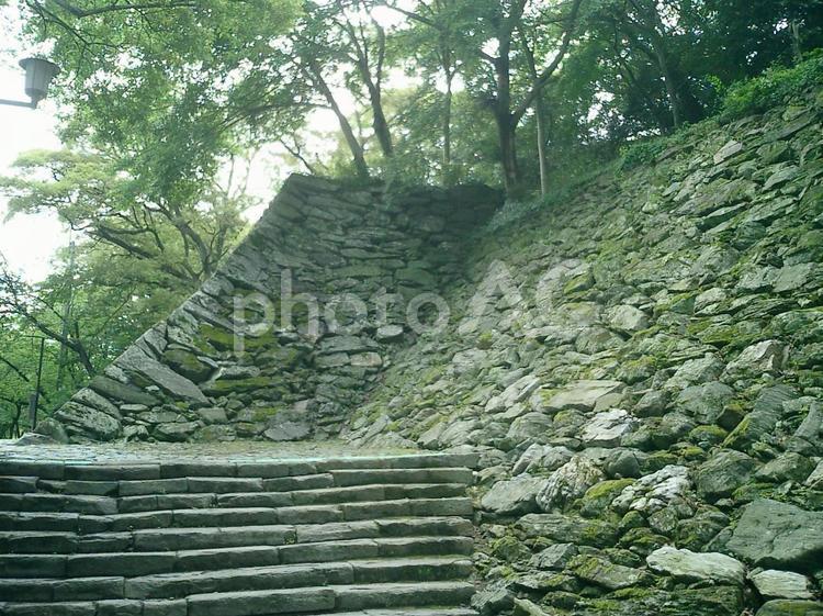 和歌山城山吹渓の石垣 和歌山城の写真素材