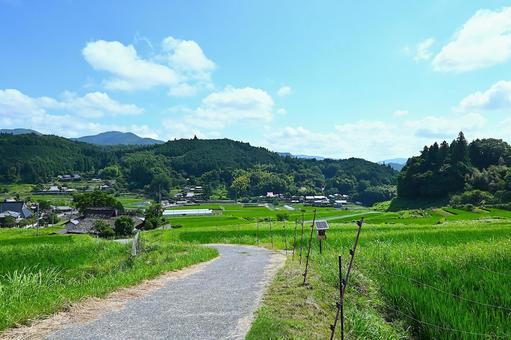 青空と美しい棚田の風景 青空と美しい棚田の風景 棚田,里山,原風景の写真素材