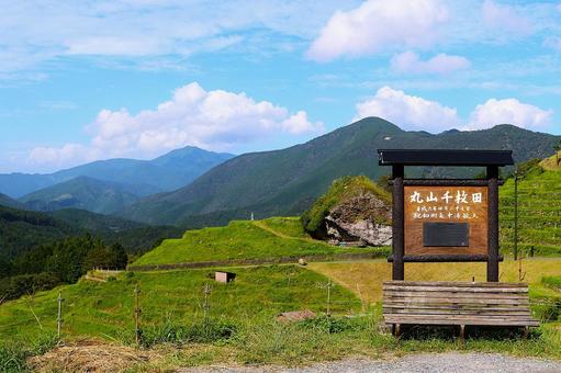 丸山千枚田 丸山千枚田の写真