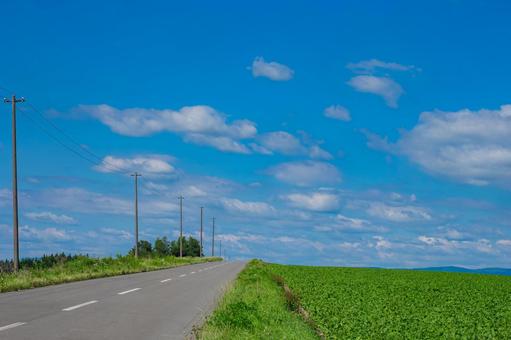 どこまでも続く北海道の道 どこまでも続く北海道の道 北海道,道,まっすぐの写真素材
