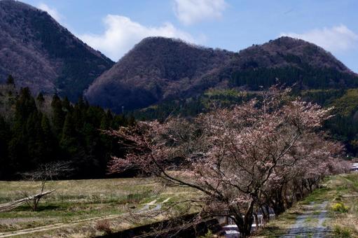 春来る里 春来る里の写真