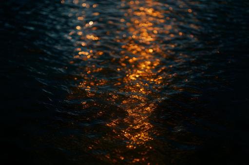 輝く水面の煌めき 輝く水面の煌めきの写真