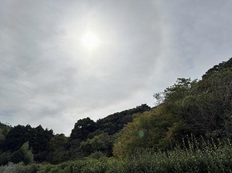 木々の向こうに見える太陽 木々の向こうに見える太陽の写真