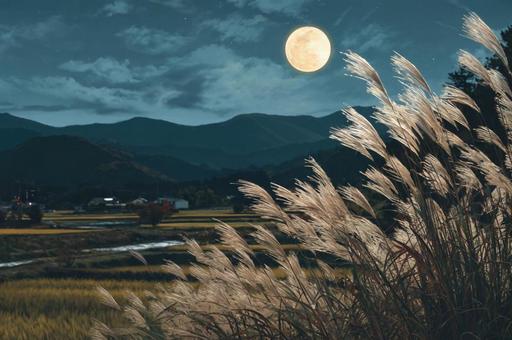 満月の十五夜様かな 満月の十五夜様かなの写真