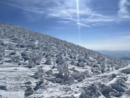 スノーモンスター スノーモンスター,雪山,雪の写真素材