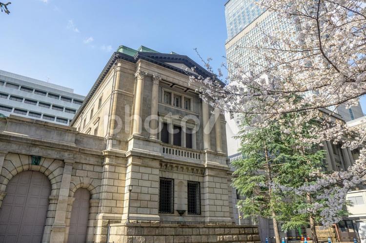 桜満開の春の日本銀行本店 日本銀行本店本館,日本銀行本店,日本銀行の写真素材