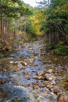 紅葉と小川の写真
