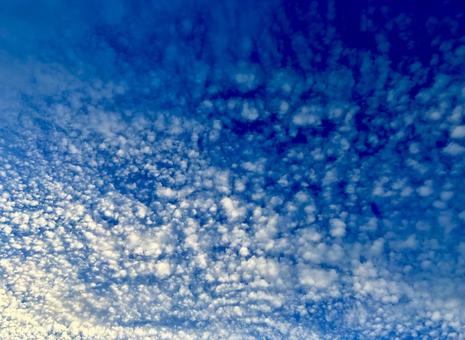 積雲の夏の空 積雲の夏の空の写真