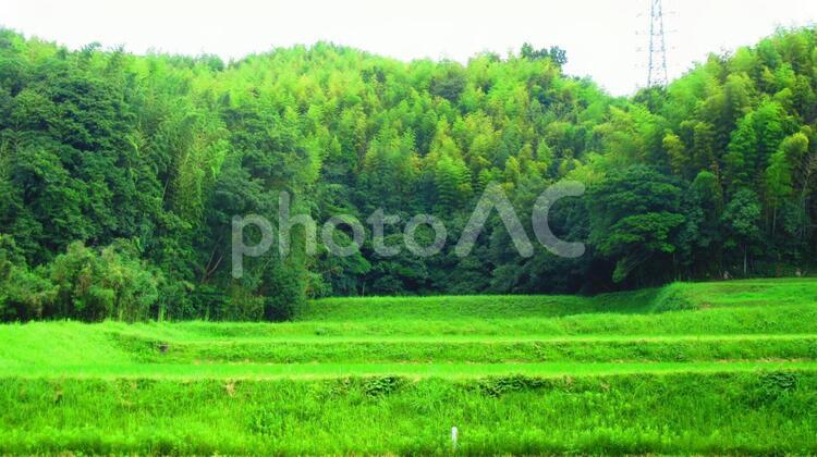 田舎の風景 田舎,風景,背景の写真素材