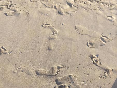 砂浜に残る子供の足跡がかわいい背景素材 砂浜に残る子供の足跡がかわいい背景素材 あしあと,足跡,裸足の写真素材