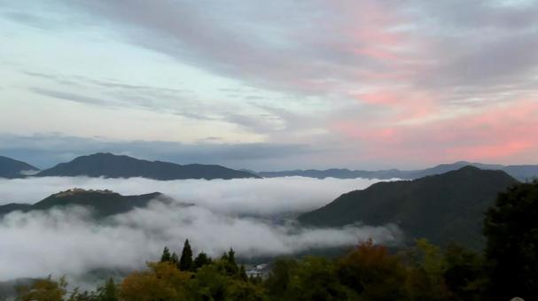 雲海　竹田城跡 雲海,竹田城,天空の城の写真素材