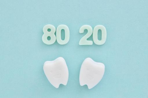 8020とミニチュアの歯 8020とミニチュアの歯の写真