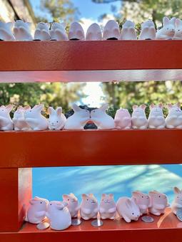 岡崎神社 岡崎神社,神社,京都の写真素材