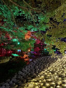 越前陶芸村　陶あかり　福井県陶芸館 福井,越前市,伝統工芸の写真素材