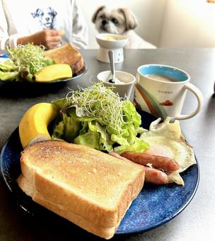 Photo, bread, toast, bacon and eggs, 