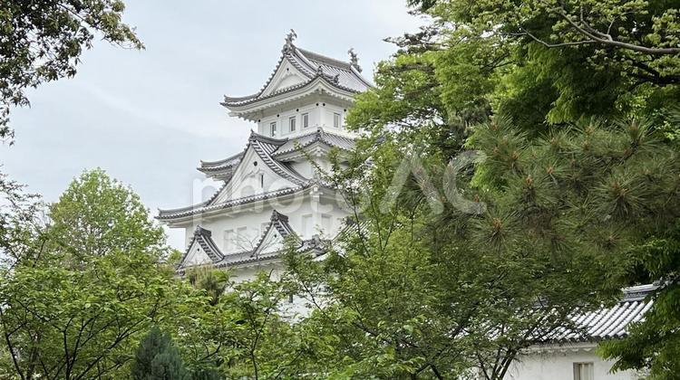 お城と緑の樹木お城 樹木,緑,やすらぎの写真素材