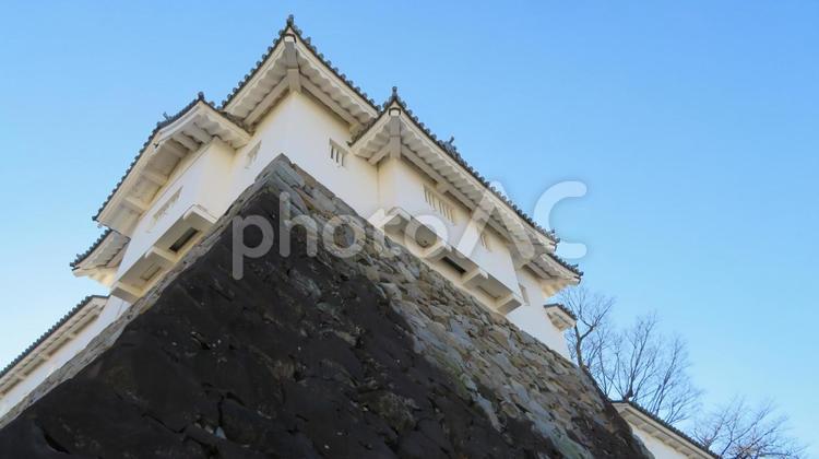 甲府城　稲荷櫓 甲府城,舞鶴城,天守台の写真素材