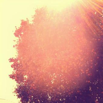 sunny sunnyの写真