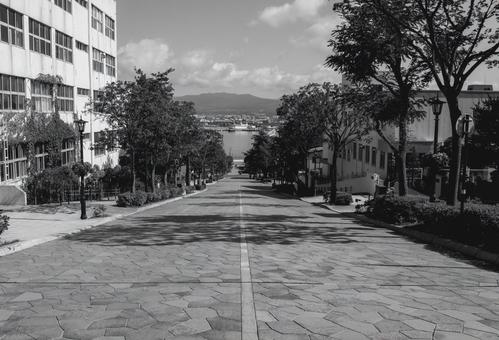 石畳の坂道が港へと続く函館八幡坂の眺め 石畳の坂道が港へと続く函館八幡坂の眺め 八幡坂,坂道,函館の写真素材