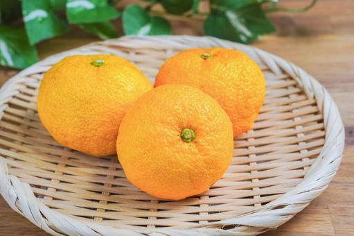 ゆず 柚子,冬至,柚子湯の写真素材