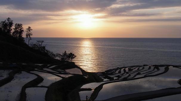 夕日の白米千枚田 夕日の白米千枚田の写真